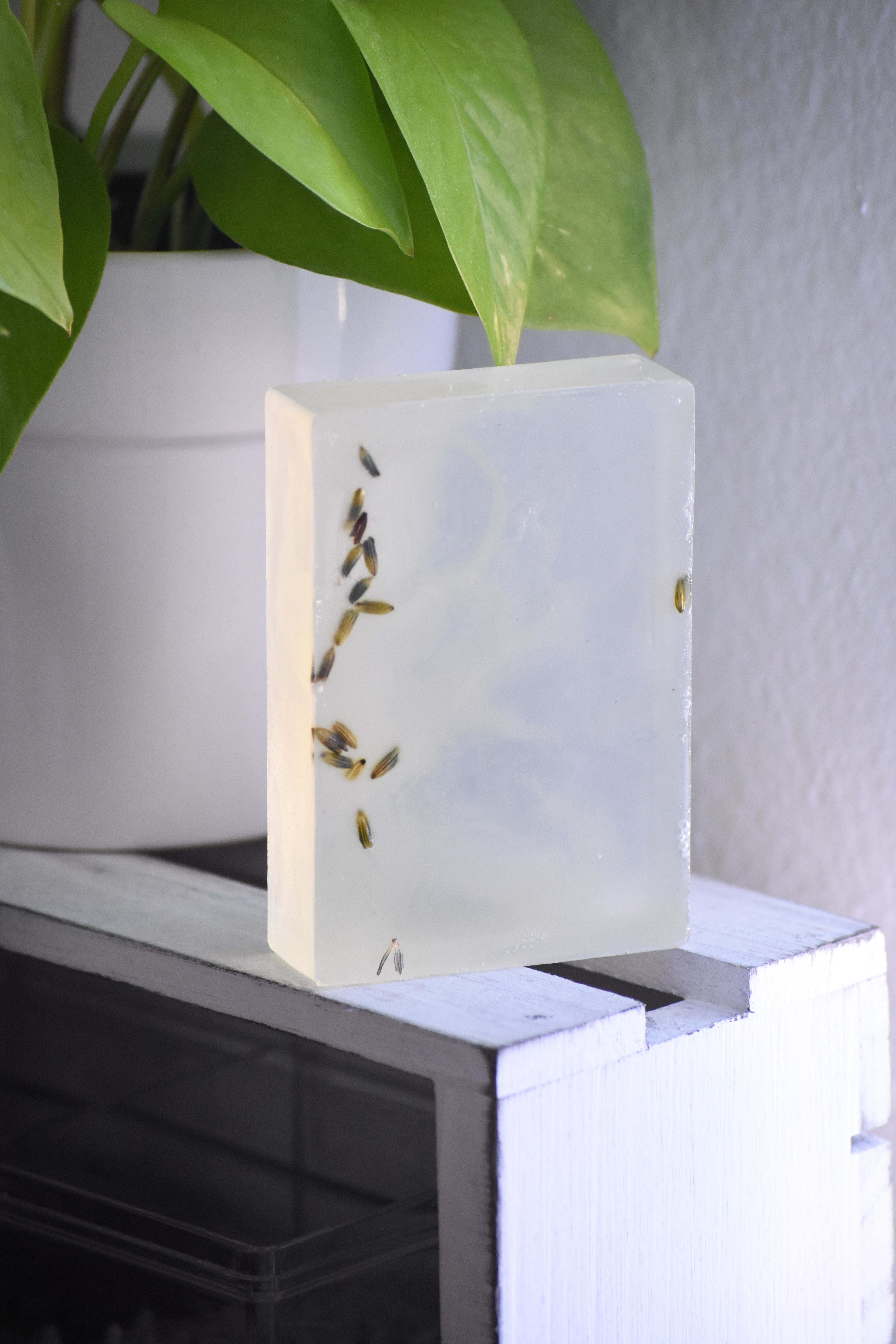 PINE FOREST BODY SOAP