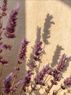 LAVENDER FIELDS ROOM & LINEN SPRAY