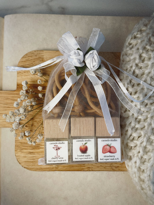Car air freshener gift set